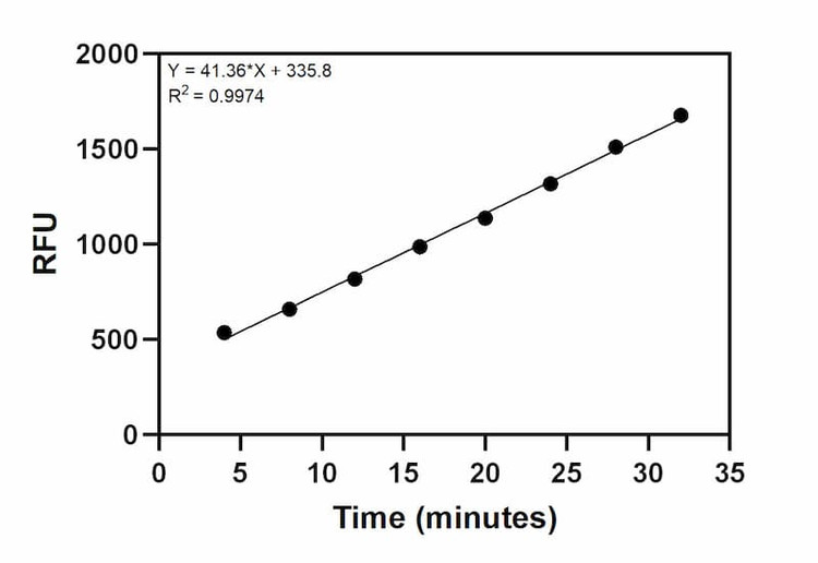 Proteasome positive control activity over time.