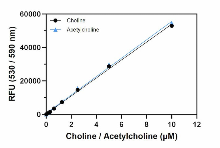 Choline standard curve for the fluorometric format.