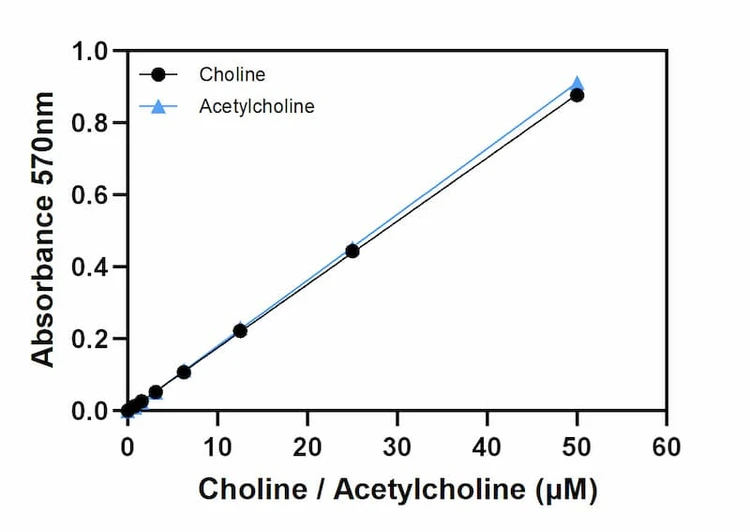 Choline standard curve for the colorimetric format.