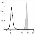 C57BL/6 murine splenocytes were stained with Anti-CD45 antibody (STJA0000852) (filled gray histogram). Unstained splenocytes (empty black histogram) were used as control.