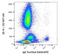 Anti-IgE antibody [4H10+] (STJ16101392)