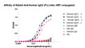 Dose response curve of HRP conjugated Rabbit Anti-Human IgG2 (Fc) mAb measured by ELISA. 1 µg/mL of various immunoglobulins were coated to 384-well plate. , blank wells without protein were used as negative control (NC). The coated plate was blocked and subsequently incubated with 25 µL of HRP conjugated Rabbit Anti-Human IgG2 (Fc) mAb in a 2 fold serial dilution from 2 Mu g/mL to 6. 1*10^-5 pg/mL, incubation was performed at room temperature for 1 hour. The ELISA result demonstrated that Rabbit Rabbit Anti-Human IgG2 (Fc) has highly specific recognition of Human IgGHuman IgG while no or minimal cross reactivity to Human IgGHuman IgGHuman IgMã€Rat IgG.
