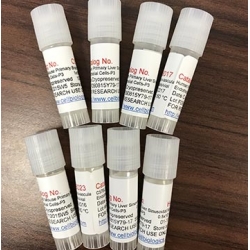 BALB/c Mouse Primary Cardiac Cells BALB/c Mouse Primary Cardiac Cells
