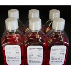 RPMI-1640 Media; With L-glutamine and HEPES Buffer RPMI-1640 Media; With L-glutamine and HEPES Buffer