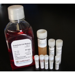 Complete Neutrophil Medium /w Kit – 500 ML