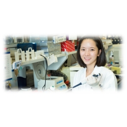 Monkey Primary Peripheral Blood Mononuclear Cells (MK-PBMC)