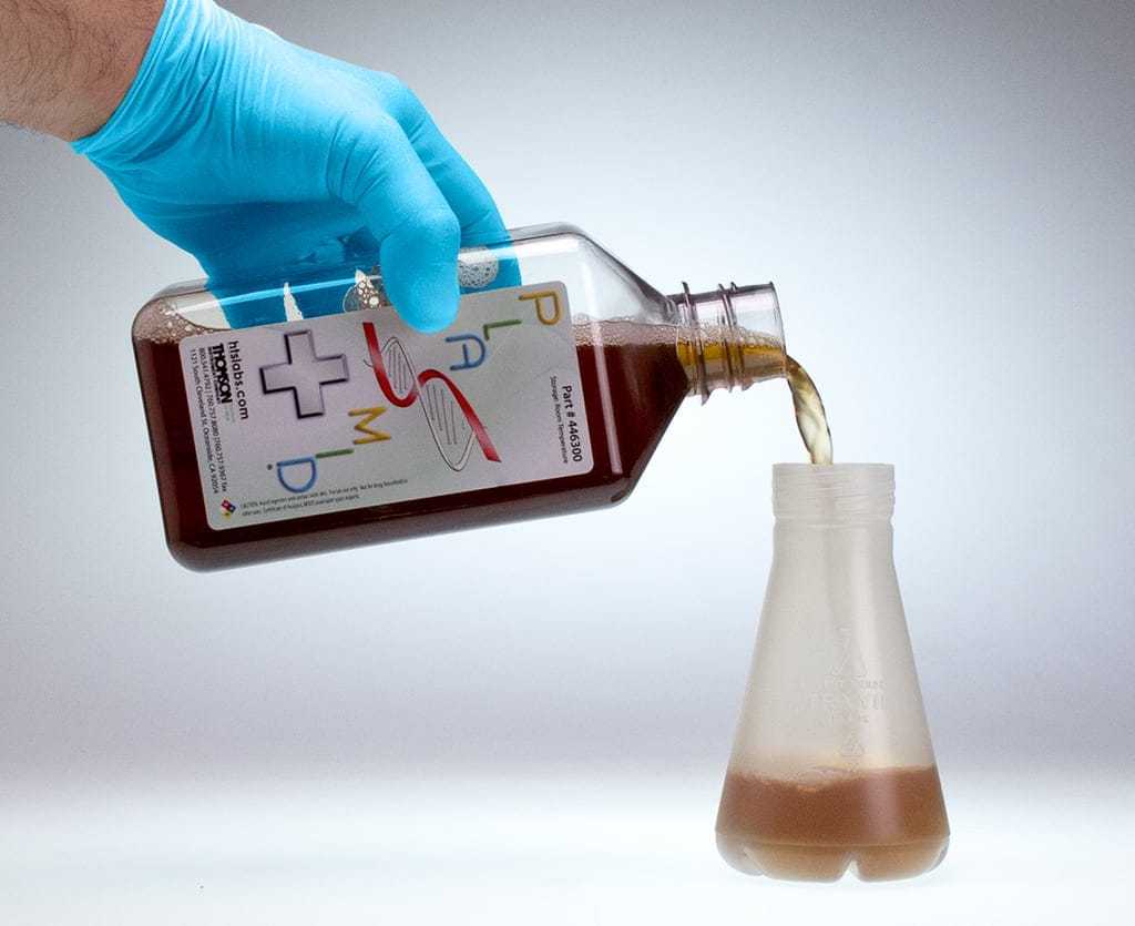 pouring plasmid
