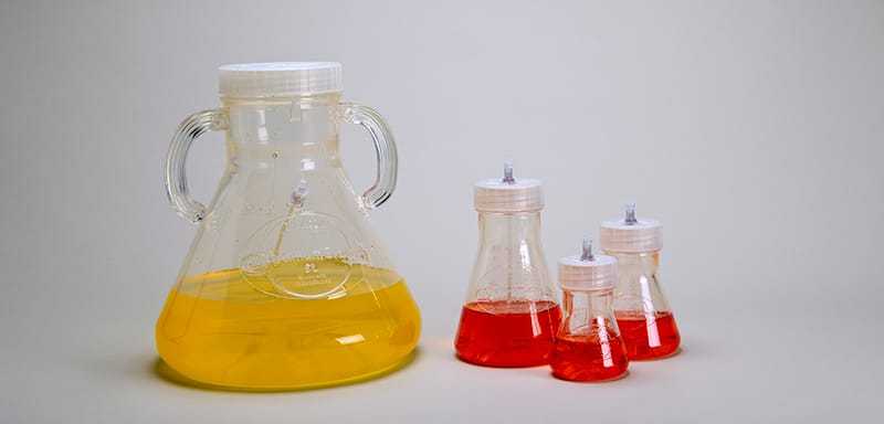 Sampling Flasks