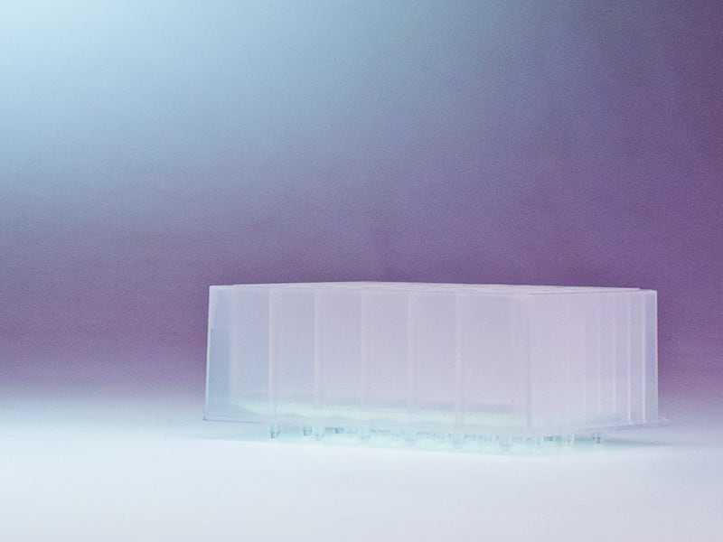 filterplate in studio