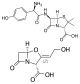 Amoxicillin/Clavulanic Acid (4:1)