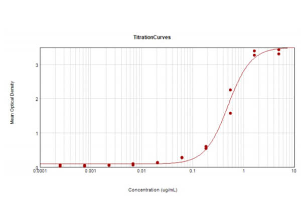 Cat IgG (H&L) Antibody Alkaline Phosphatase Conjugated