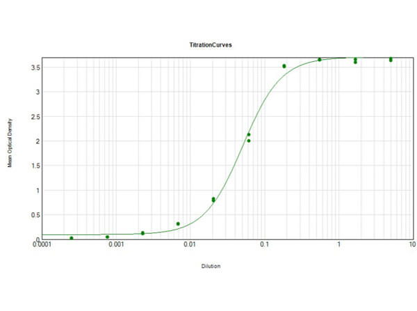 Human IgG (H&L) Secondary Antibody Alkaline Phosphatase Conjugated Pre-Adsorbed