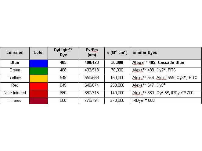 Mouse IgG2a (Gamma 2a chain) Antibody DyLight™ 488 Conjugated