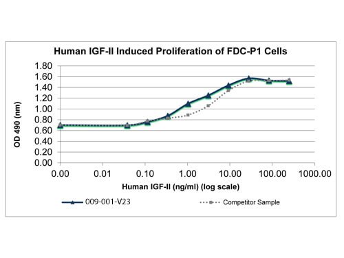 SDS-PAGE of Human Insulin-like Growth Factor II Recombinant Protein