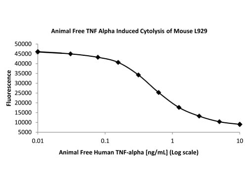 SDS-PAGE of Human Tumor Necrosis Factor alpha Recombinant Protein (Animal Free)