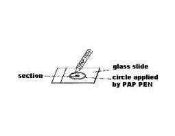 Method for Paraffin Sections