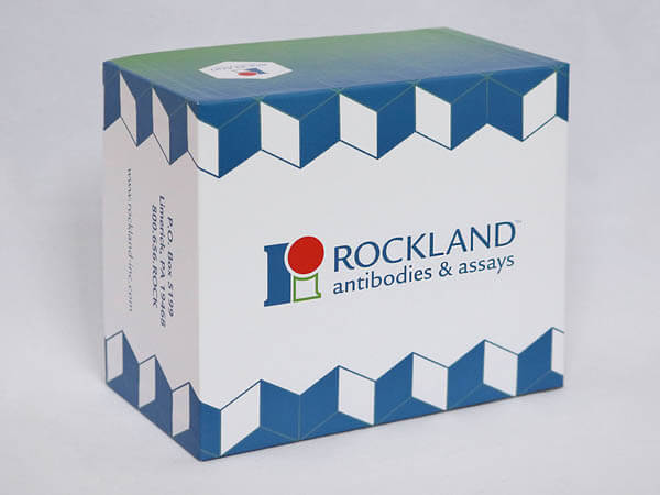 Rockland FemtoMax Chemiluminescent Western Blot Box