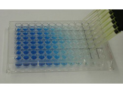 ELISA Coating Stabilizer