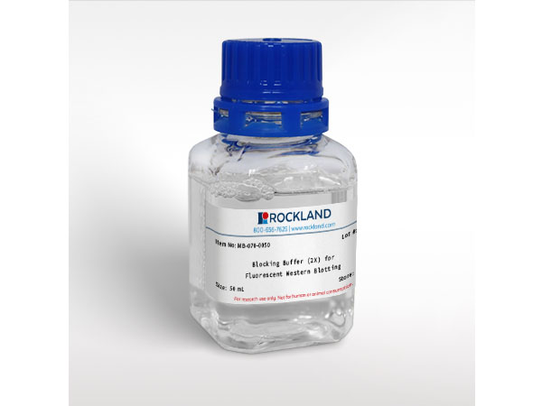 Blocking Buffer (2X) for Fluorescent Western Blotting