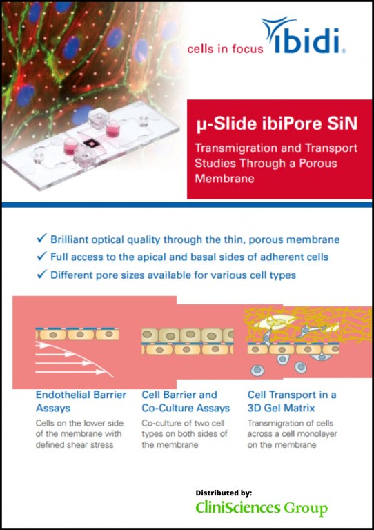 μ-Slide ibiPore SiN