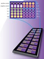Micro-arrays quantitatifs anti-cytokines