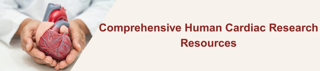 Lipid Nanoparticles Banner