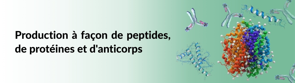 Custom Production of Peptides, Proteins & Antibodies