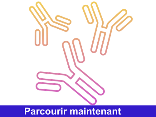 /upload/ab-fr-ncyapw.png