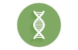 Longs fragments (Long Range PCR)
