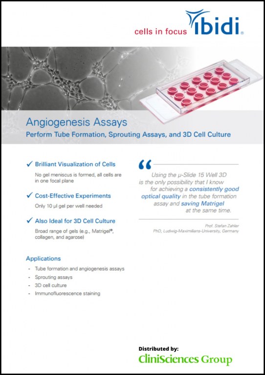 Angiogenesis Assays