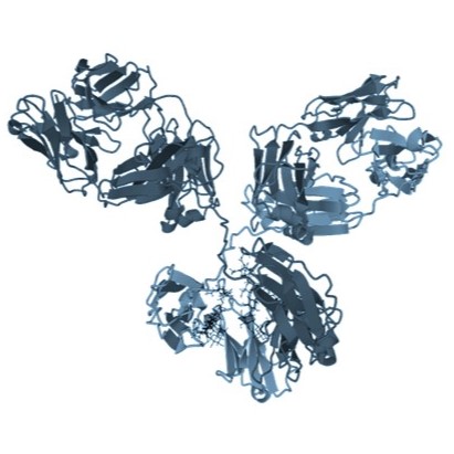 /upload/antibody-d7uedw.jpg
