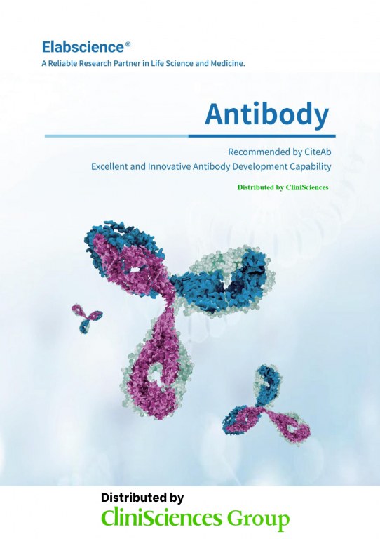 /upload/antibody-jzk9zy.jpg