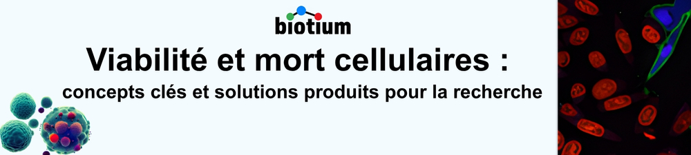 Lipid Nanoparticles Banner