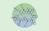 Somatostatine