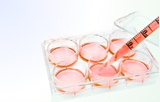 Etude des cellules