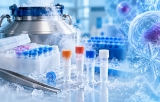 Cryoprotecteurs