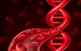 Autre colorants rouge pour l'ADN