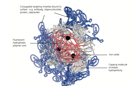 CPN-Streambio-nanoparticles