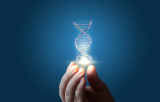 Technologie CRISPR/Cas