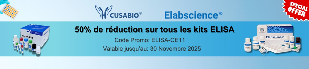 /upload/elisa-fr-baf2x6.jpg