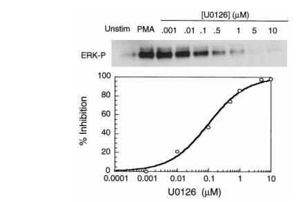 /upload/fig2-chemical-probes-and-kinase-i-8yczgg.jpg