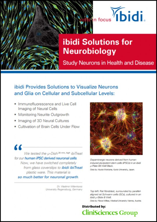 ibidi Solutions for Neurobiology