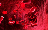Maladies hématologiques