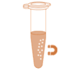 Extraction fragments ADN et PCR - Billes magnétiques