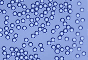 Microsphères, billes et particules