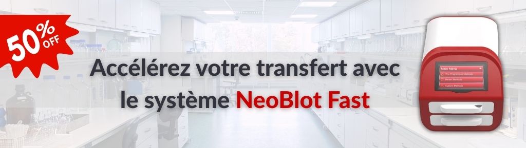 Offre limitée : 50 % de réduction sur le système NeoBlot Fast – Accélérez votre transfert de protéines !