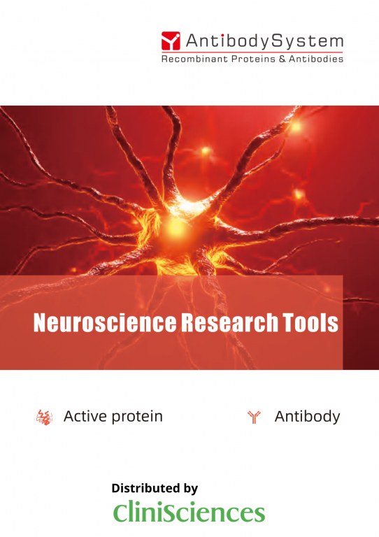 /upload/neuroscience-research-tools-khrjff.jpg