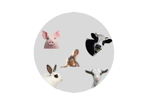 /upload/others-5hch74.png