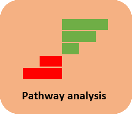 Analyse de voies