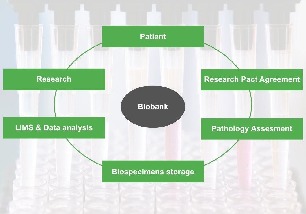 Biobanking Workflow
